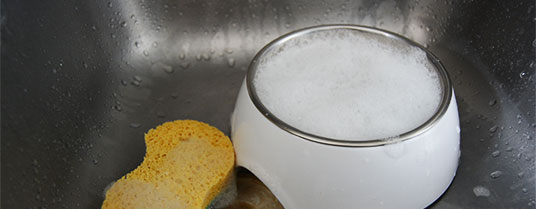 A quelle fréquence nettoyer la gamelle de votre chat pour une santé optimale ?