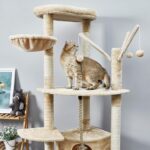 Comment bien choisir un arbre à chat ? - Secrets de Chats Comment bien choisir un arbre à chat ?