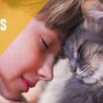 Pourquoi les enfants aiment tant les chats