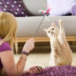 Comment jouer avec son chat ? - Secrets de Chats Comment jouer avec son chat ?