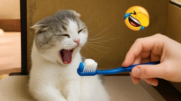 You Laugh You Lose 😂 New Funny Animals 2025 😅